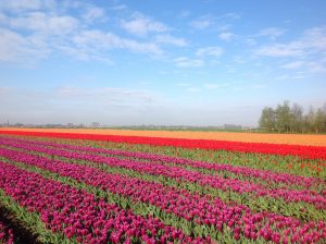 Noord-Holland